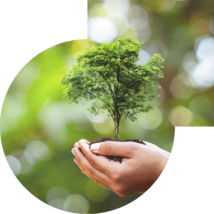 关怀人类、文化、环境与社会